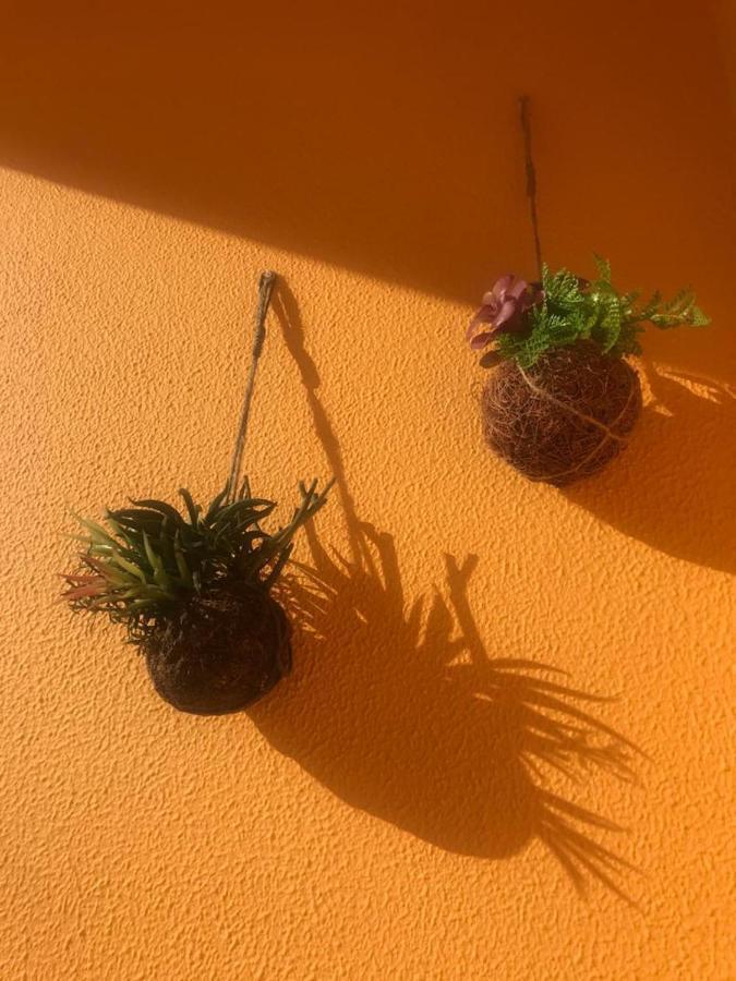 Cabanas Apartment تافيرا المظهر الخارجي الصورة